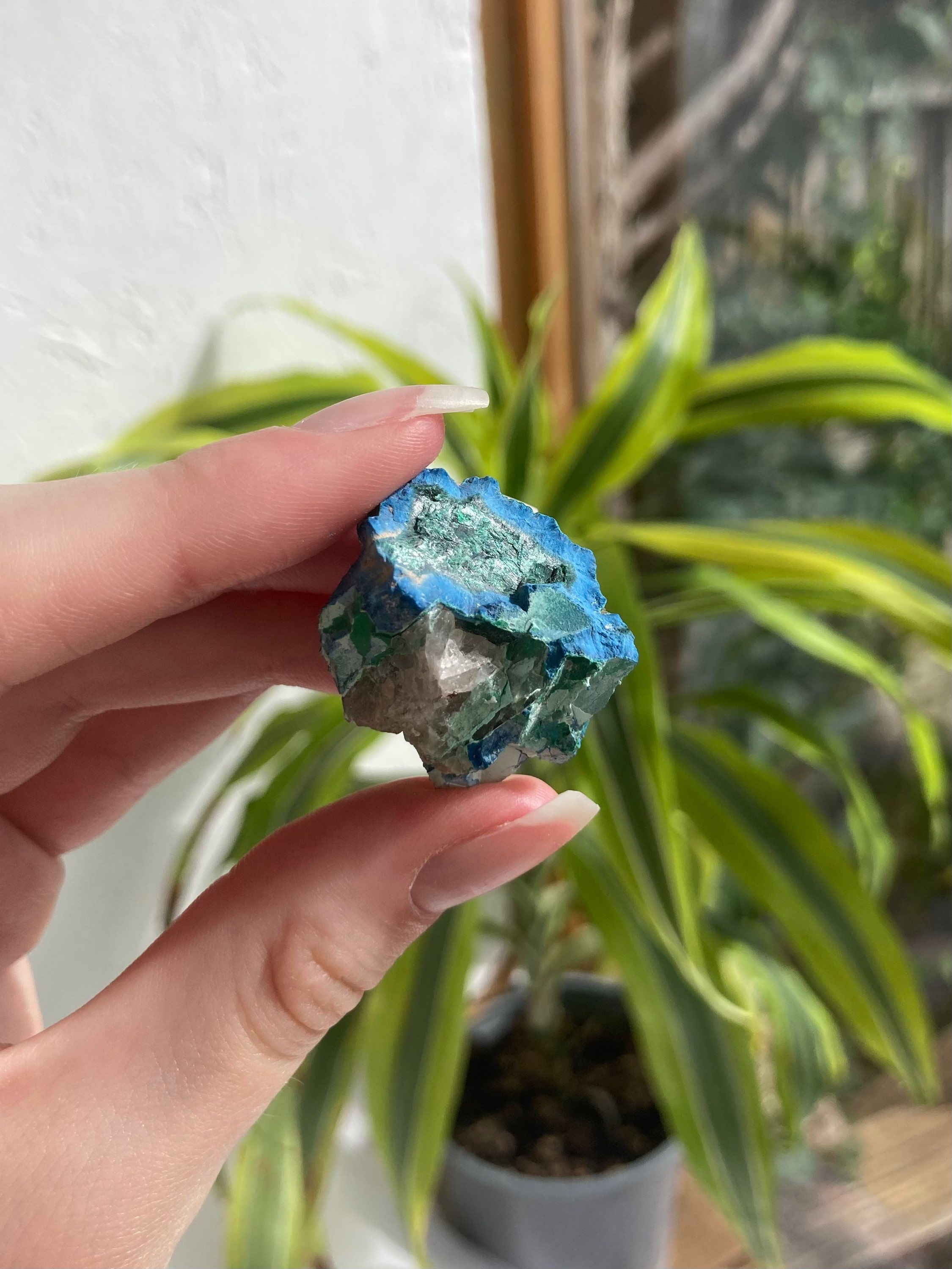 shattuckite and malachite A grade specimen