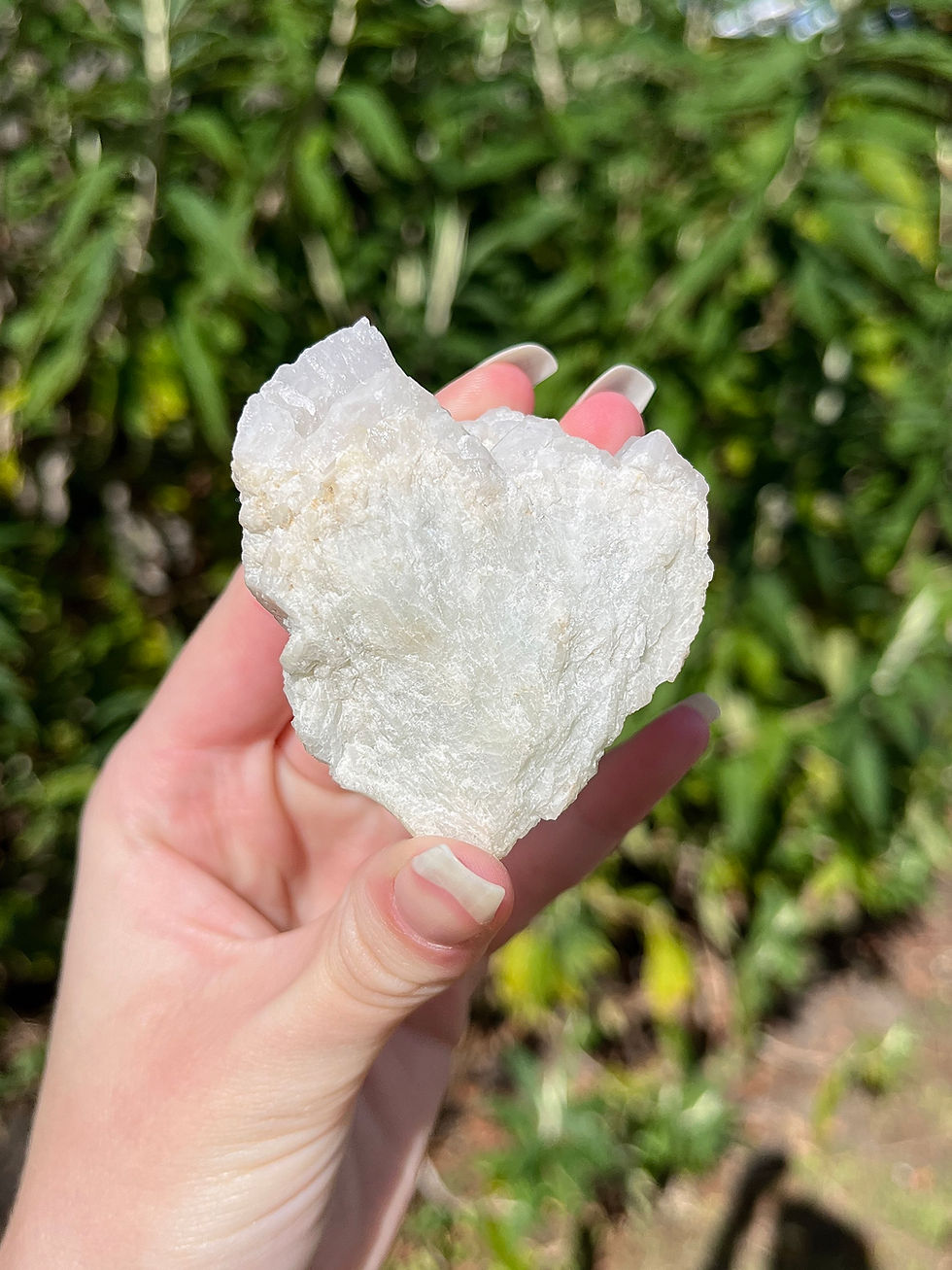 Thumbnail: bicolour tourmaline in matrix
