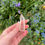Thumbnail: clear quartz tower 16