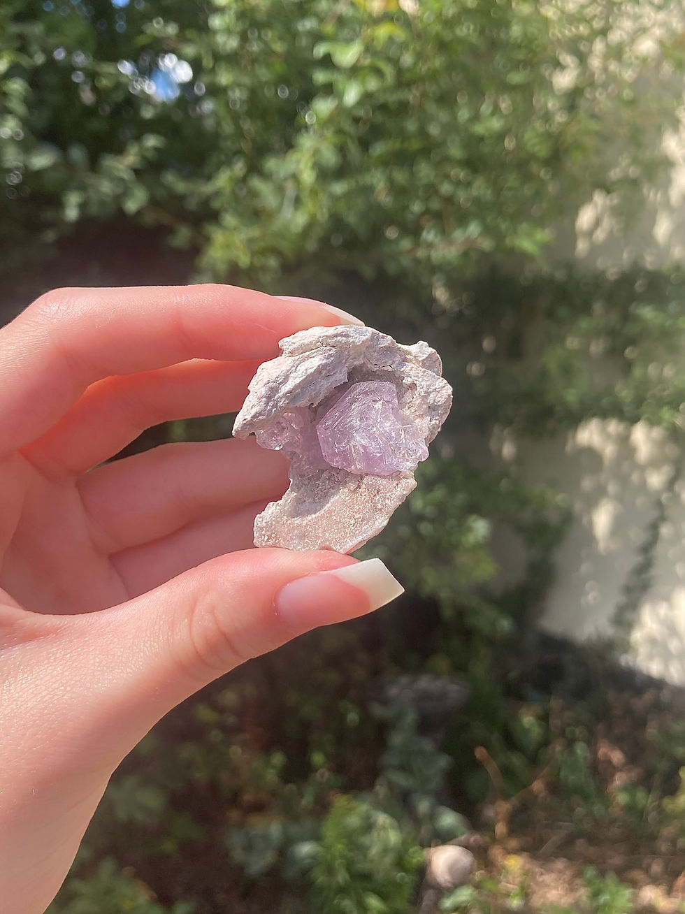 Vera Cruz amethyst geodes 11