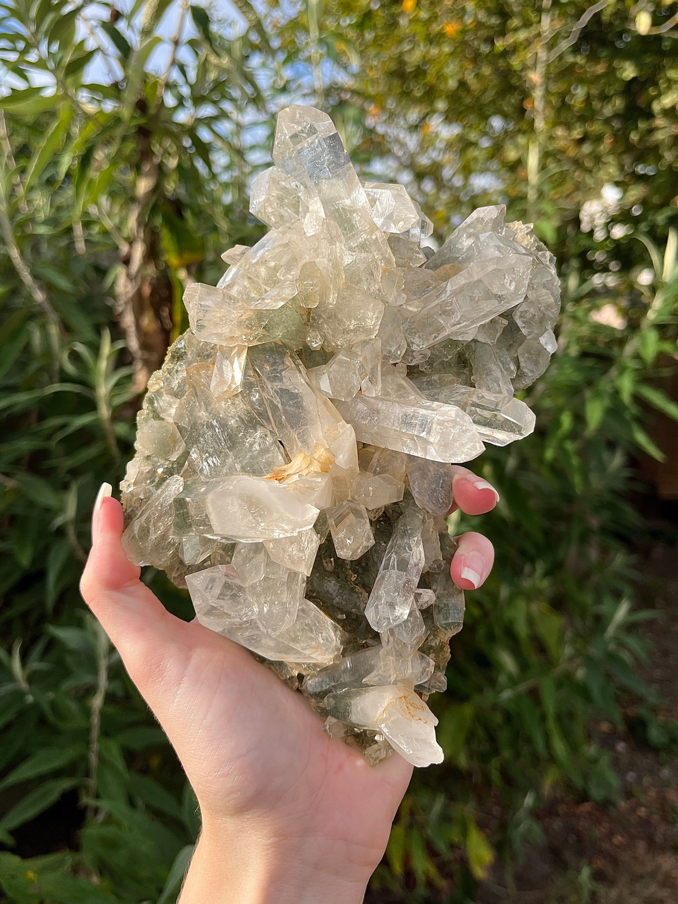 Himalayan quartz cluster on chlorite base