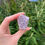 Thumbnail: amethyst clusters