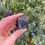 Thumbnail: black tourmaline specimen 30