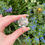 Thumbnail: clear quartz DT 22