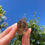 Thumbnail: orange phantom river quartz point 7