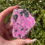 Thumbnail: cobalto calcite cluster 38