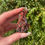 Thumbnail: vanadinite on goethite 29