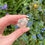 Thumbnail: clear quartz DT 22