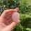Thumbnail: star rose quartz pebble 16a