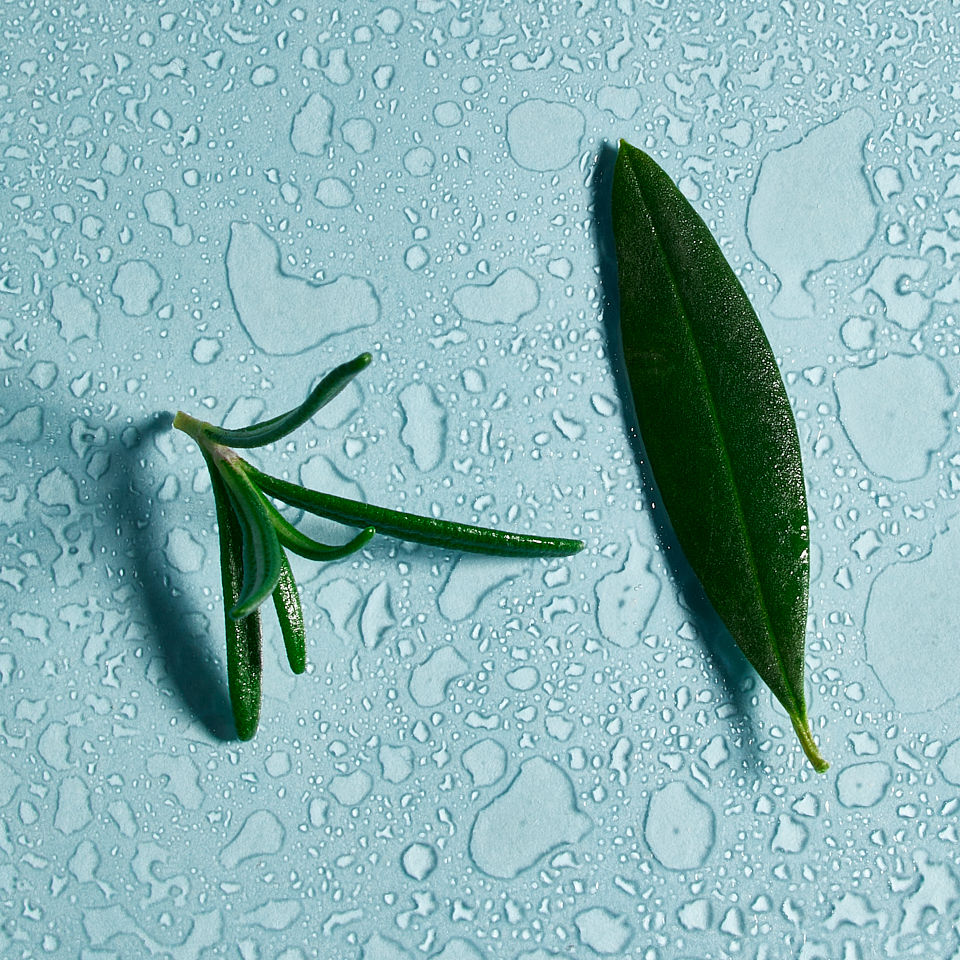 Miniatura: OLYVE Poly Boost – Siero a base d’acqua per viso e cuoio capelluto