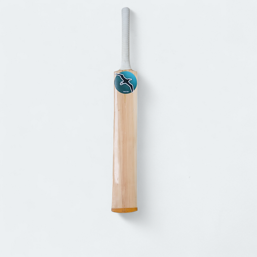 Thumbnail: Albatross Trotter(Tennis Bats)