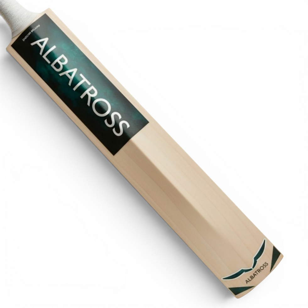 Thumbnail: Albatross BULLER, Free SHIPPING. 