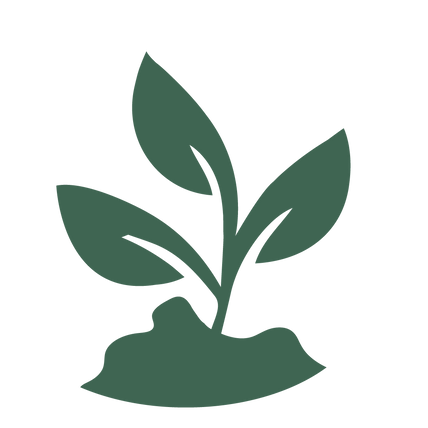 PLANT.png