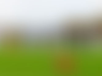 Match Report: South Shields FC 2-1 Kings Lynn Town FC