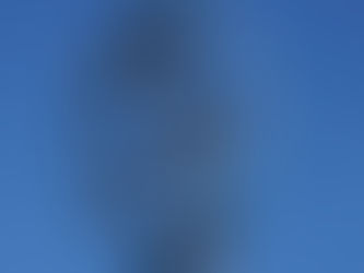 CLUB STATEMENT: JIMMY HOLMES