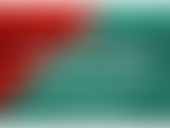 TICKET DETAILS (FA TROPHY)