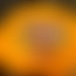 A PUMPKIN PATCH OF PEOPLE