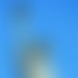 Juneteenth, 4th of July, and Freedom in Christ