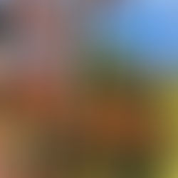 Wishing for More Do-Overs