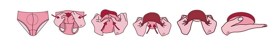 folding in 6 steps_edited.png