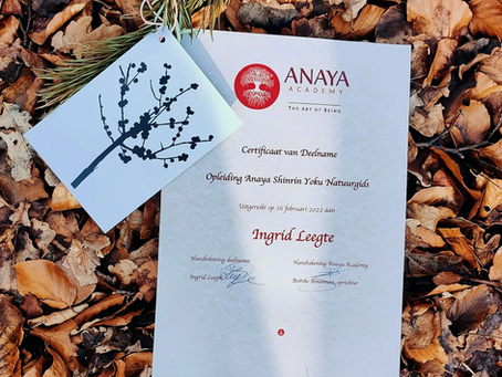 Certificaat Shinrin Yoku