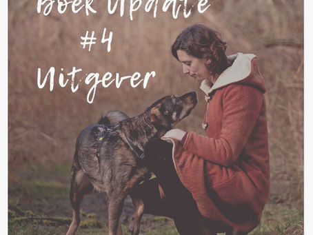 Boek Update #4 Een Uitgever