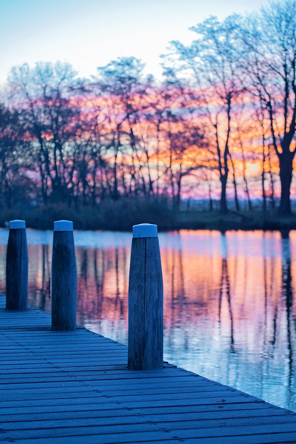 Thumbnail: Morning