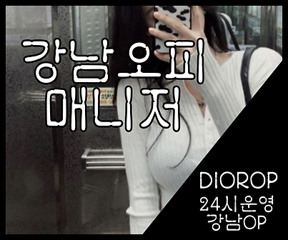 강남오피-강남OP-오피사이트-디올오피 매니저 사진 2