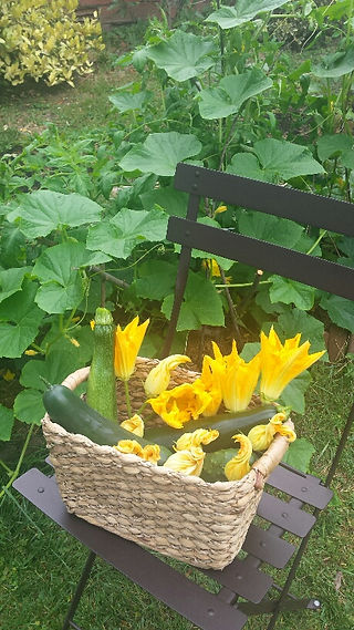 Jardin partagé