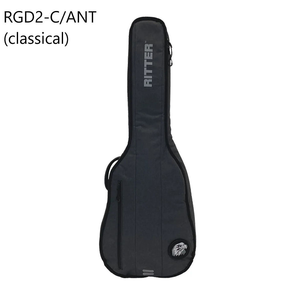 Thumbnail: Ritter RGD2-B / RGD2-C / RGD2-D / RGD2-E DAVOS GUITAR GIG BAG