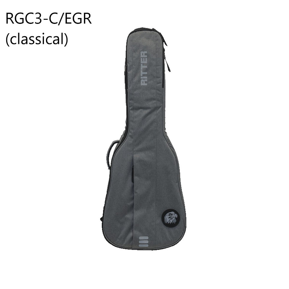 Thumbnail: Ritter RGC3-B / RGC3-C / RGC3-D / RGC3-E CAROUGE GUITAR GIG BAG