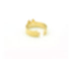 Miniature : Bague Lucien