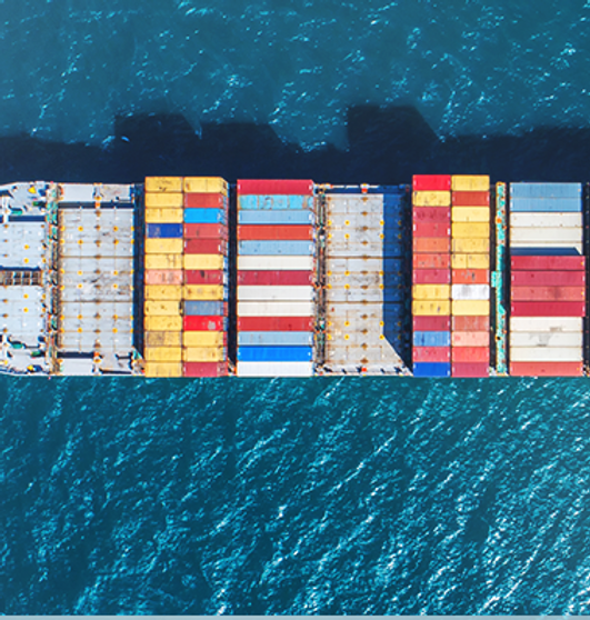 xinternational_exports.png.pagespeed.ic.