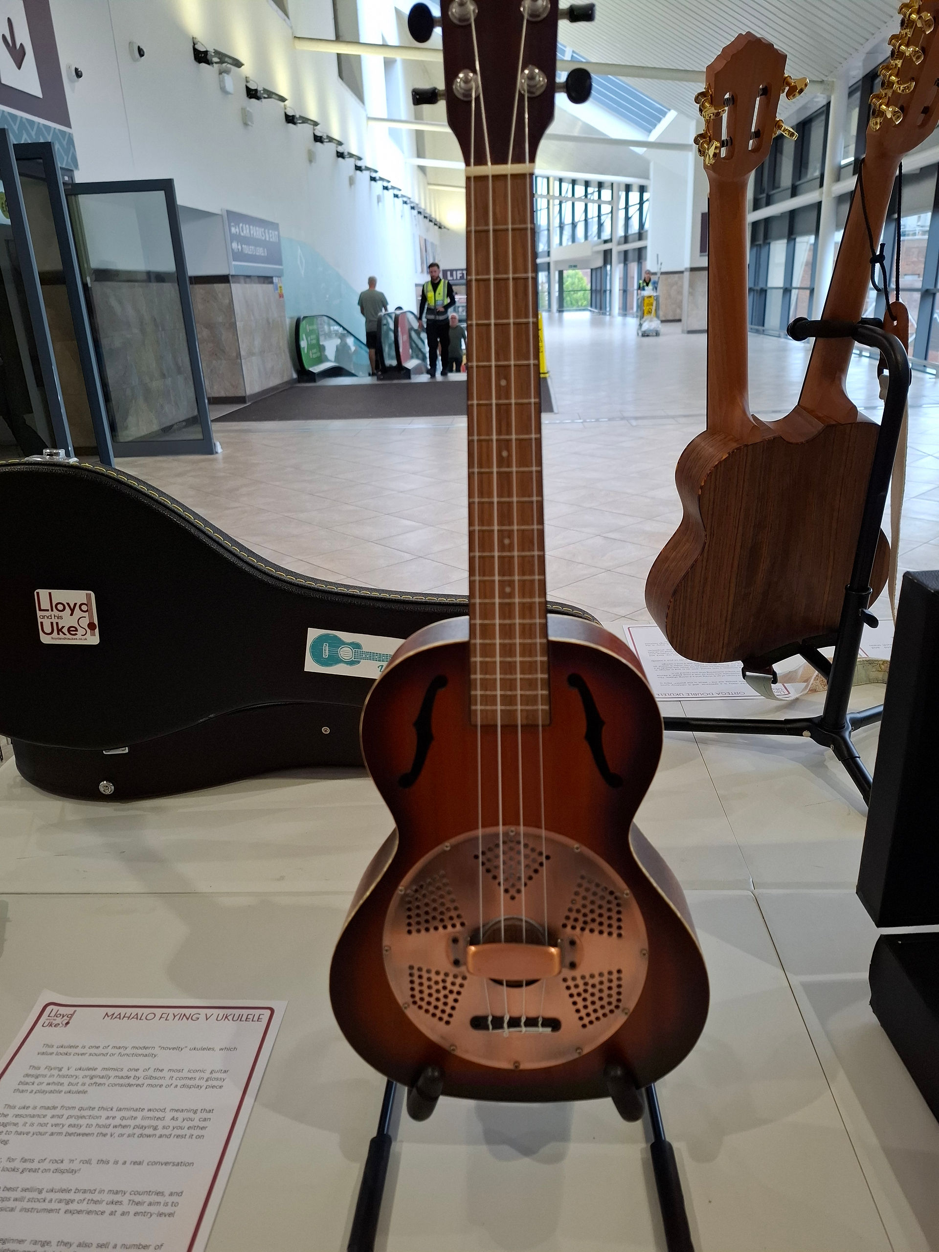 Lanikai Baritone Ukulele
