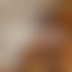 Hello Septembre !    Voici les fruits et légumes du mois