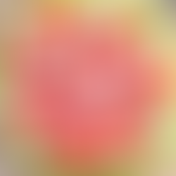 Pizza à la courgette 