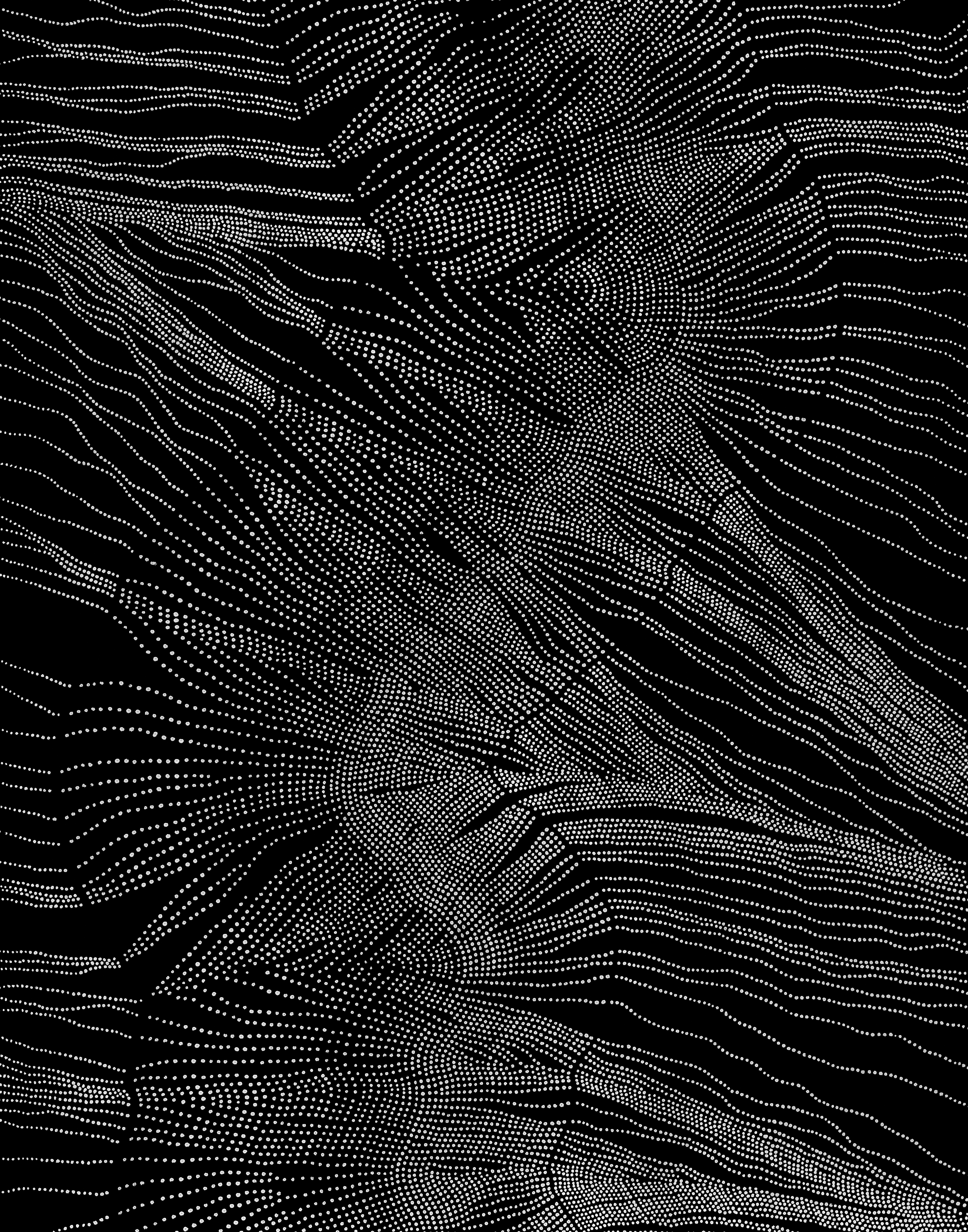 NERVURES-003