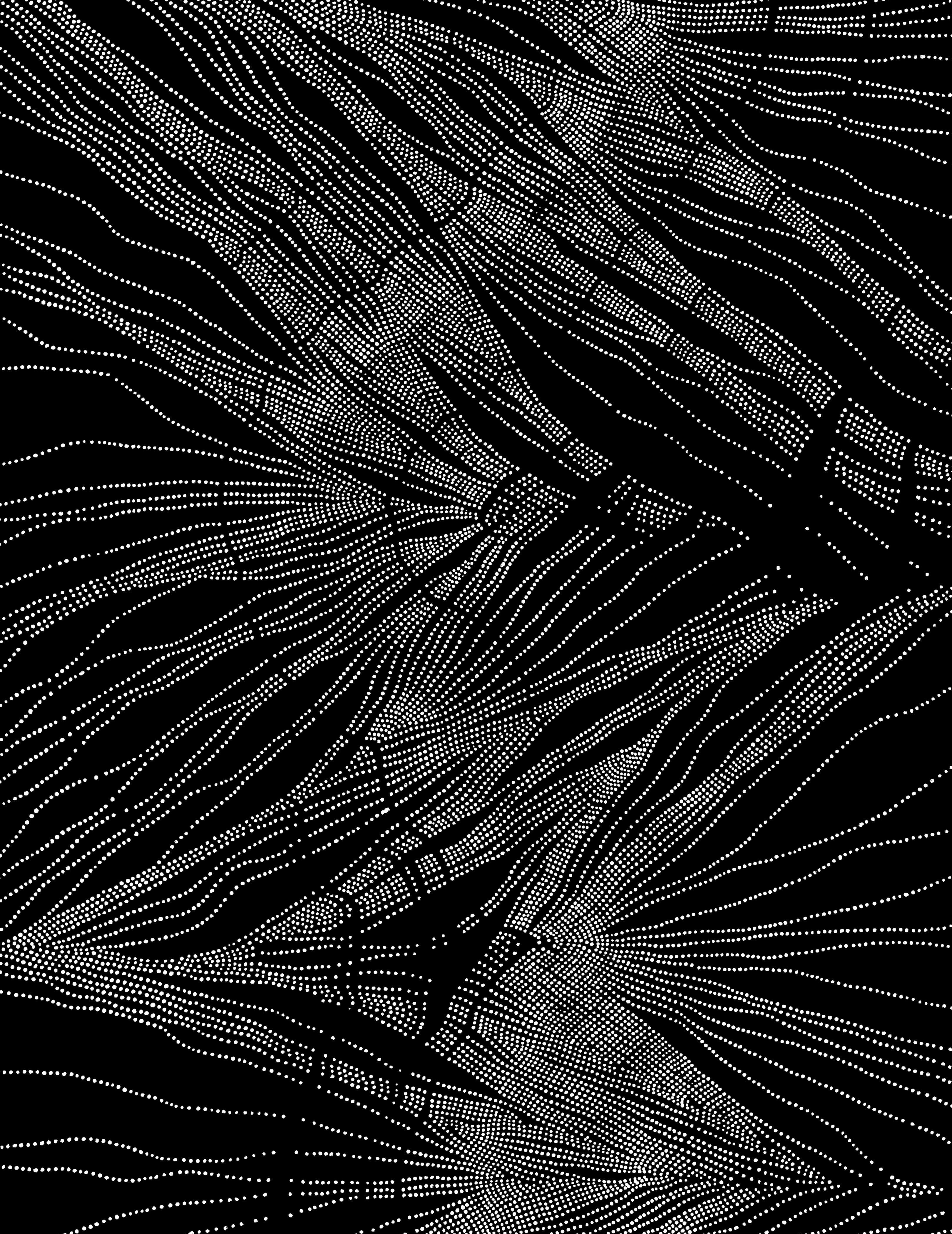 NERVURES-006