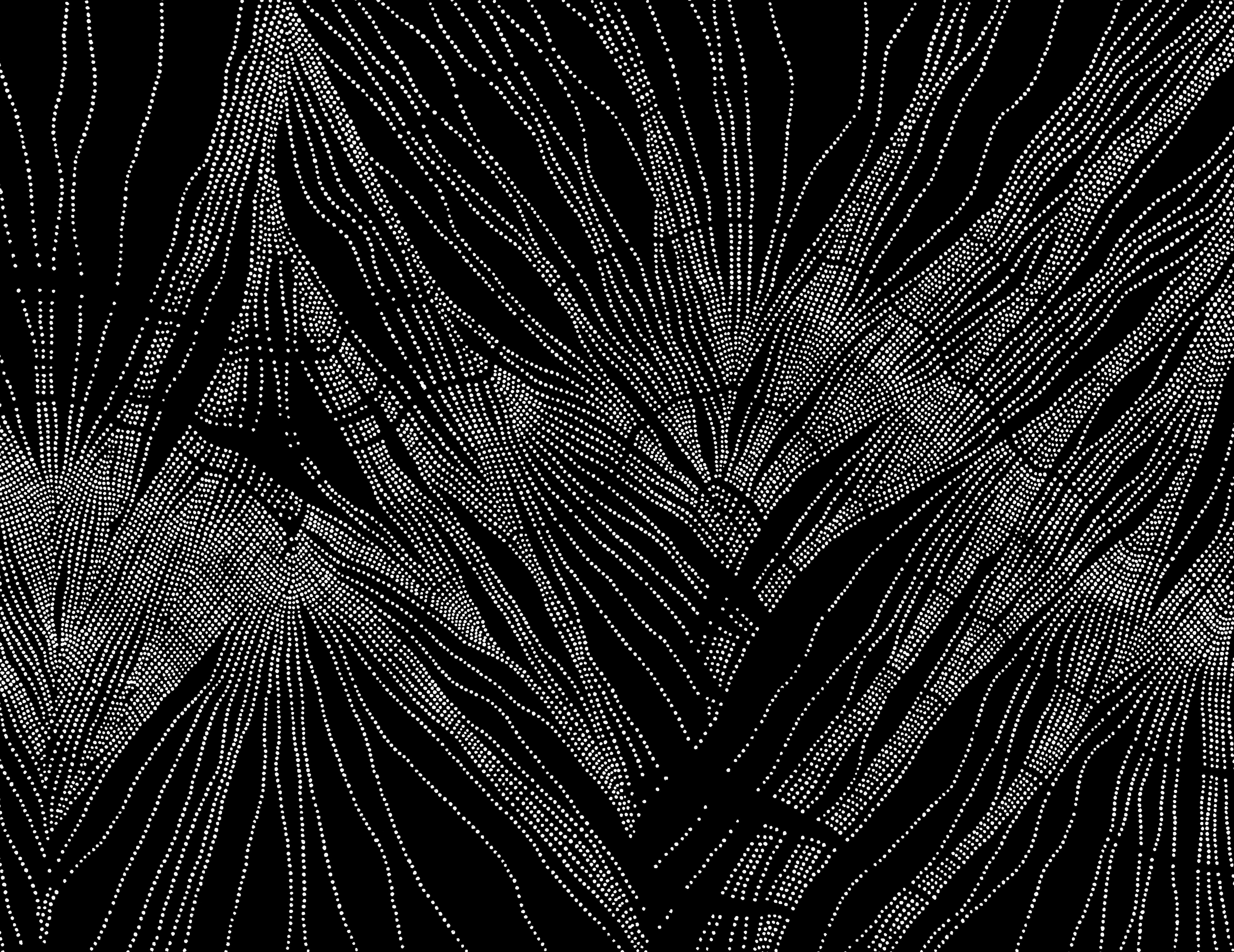 NERVURES-006