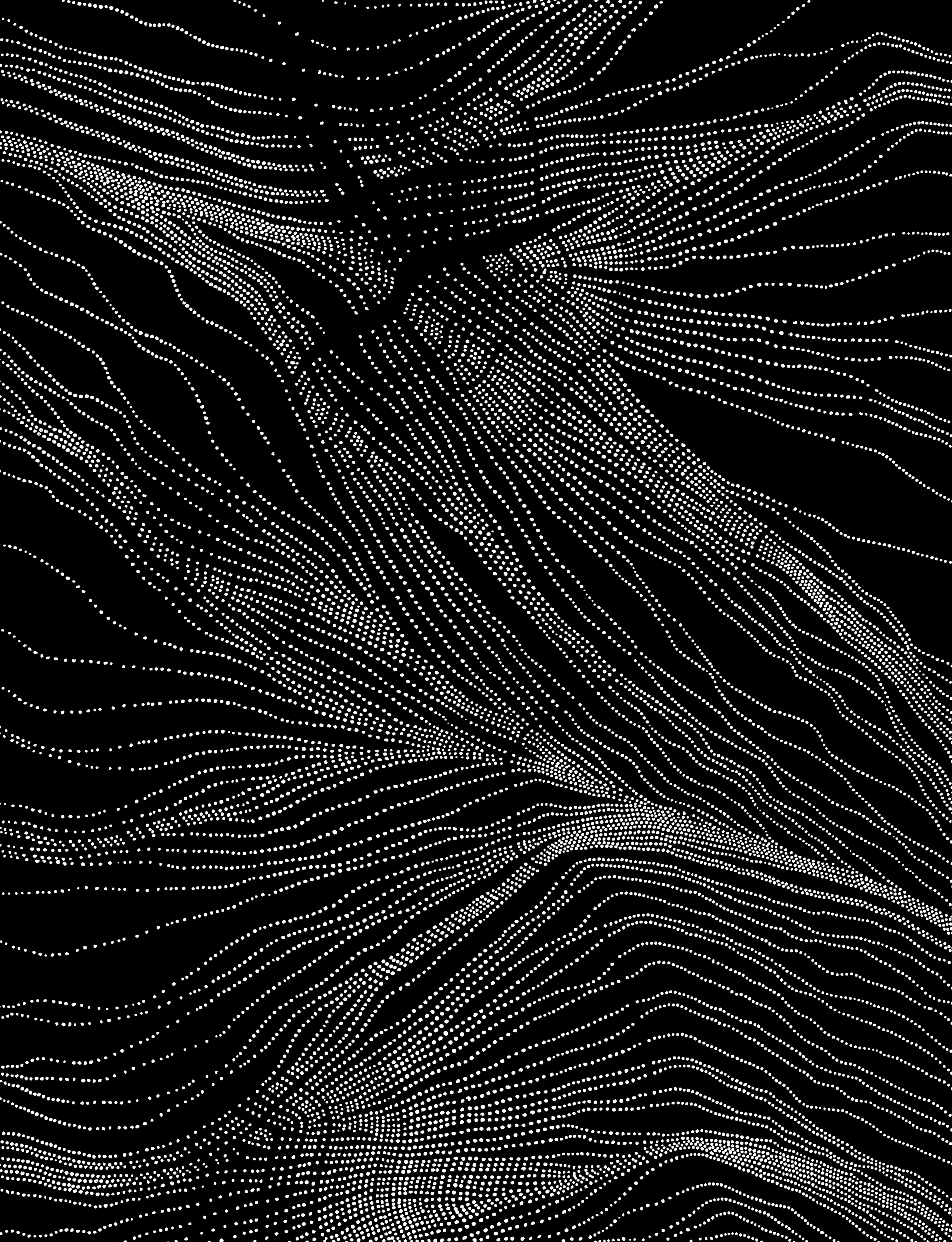 NERVURES-004