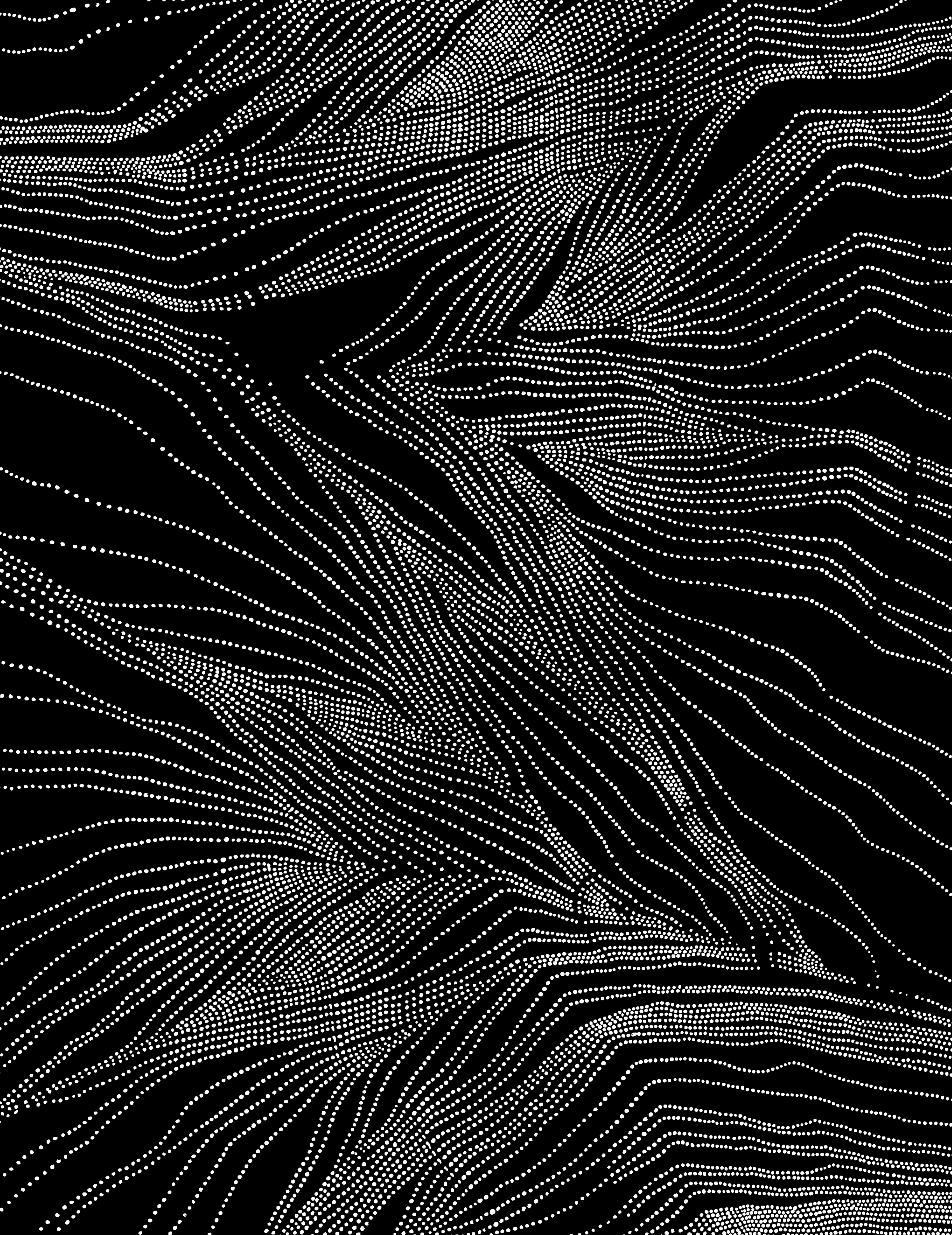 NERVURES-005