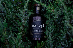 Hapusa bottle next to juniper bushes