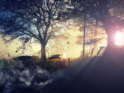 Escape to the country