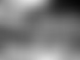 Privatização e plano verão