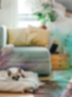 Shared Ownership 2.jpg