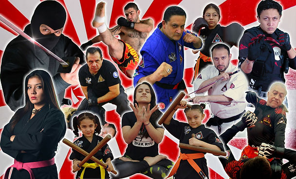 AIAM Pabellón - Collage 2026 C.jpg