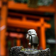 _DSC0989.jpeg