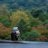 _DSC1158.jpeg