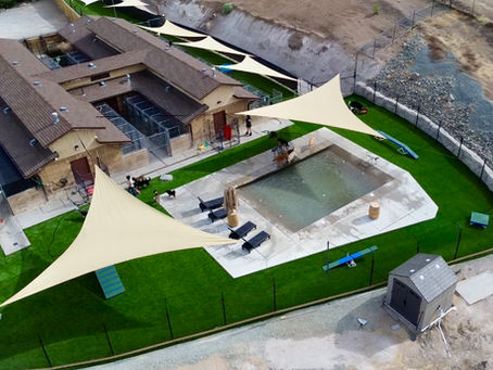 Welcome to Your Dog's New Paradise at Spanish Springs Pet Resort!