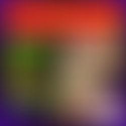 Small Choices, Big Results: How Bruce & Lee Schutter Live the One Bag Life of a Mental Health Warrior